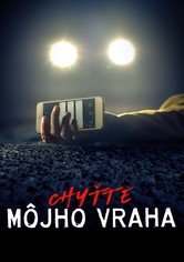 Chyťte môjho vraha