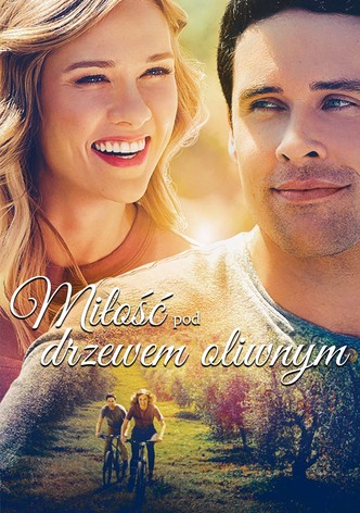 Miłość pod drzewem oliwnym