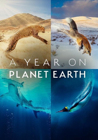 A Year on Planet Earth