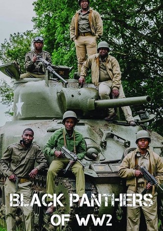 The Black Panthers of WW2