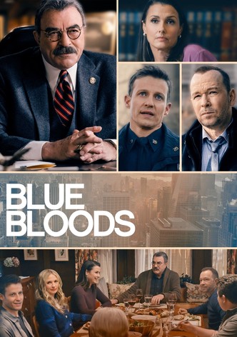 Streaming blue 2025 bloods season 1