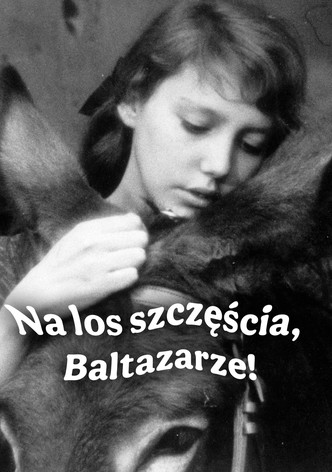 Na los szczęścia, Baltazarze!