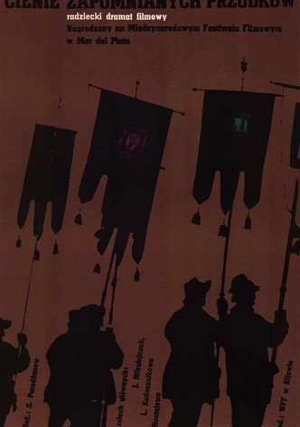 Cienie zapomnianych przodków