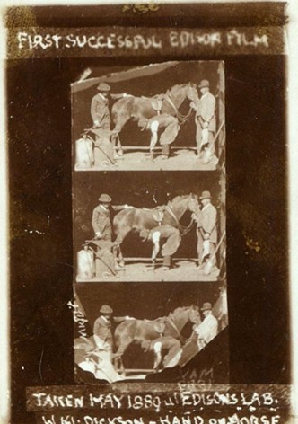 Horse Shoeing