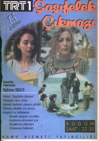 Şaşıfelek Çıkmazı