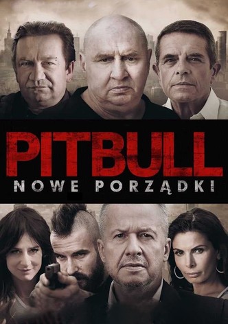 Pitbull. Nowe porządki