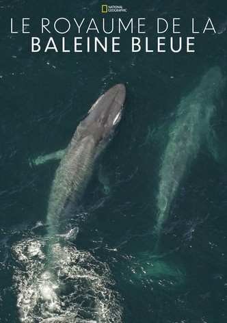 Le royaume de la baleine bleue