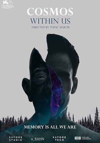 Cosmos Within Us