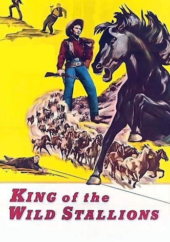 King of the Wild Stallions