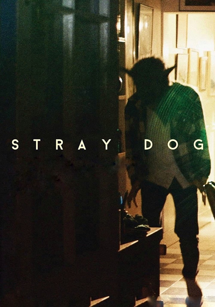 Stray Dog