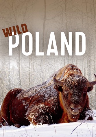 Wild Poland