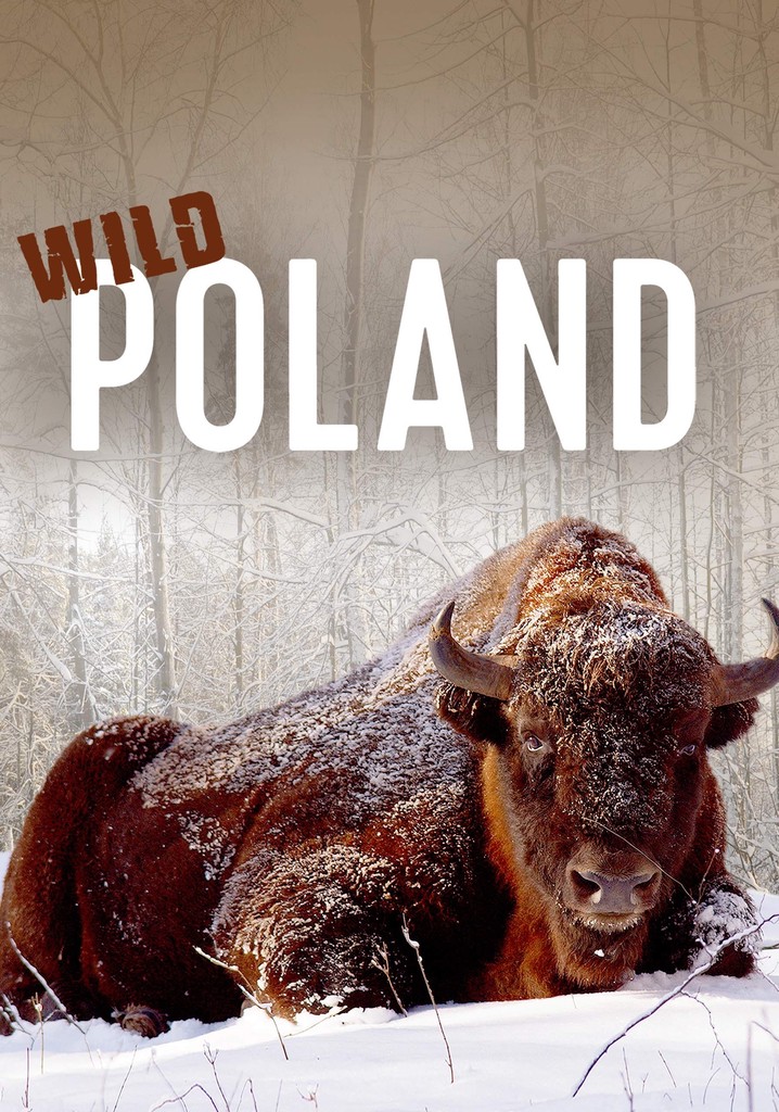 Wild Poland