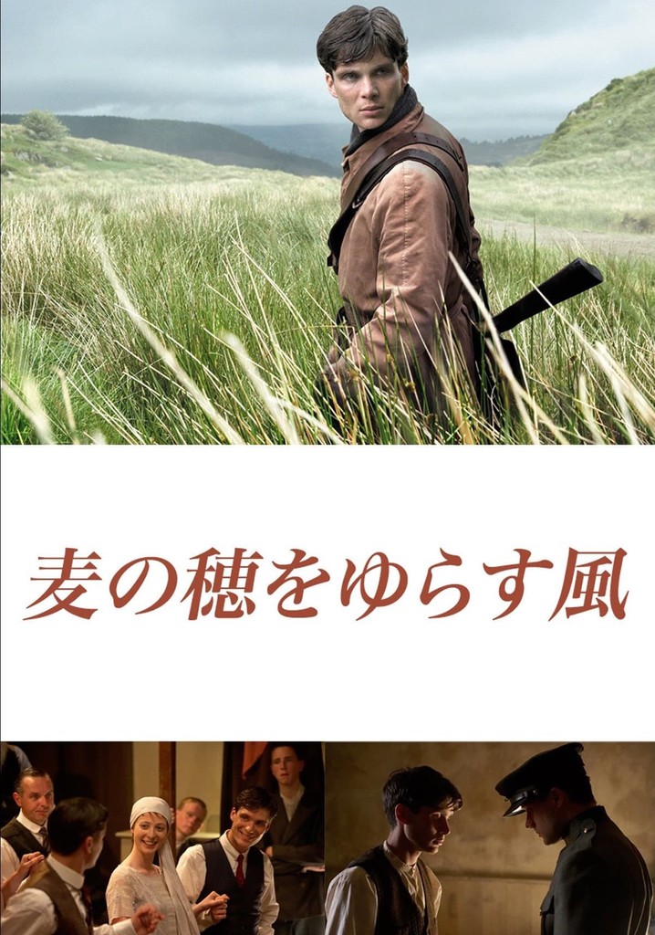 麦の穂をゆらす風 DVD 大注目 - 洋画・外国映画