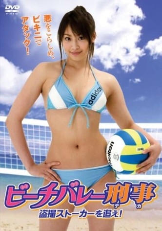 Beach Volleyball Detectives