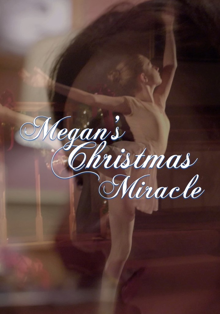Megan's Christmas Miracle