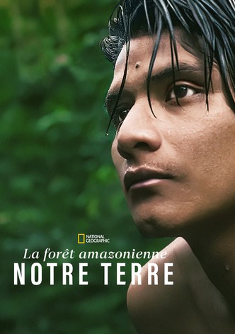 La forêt amazonienne : notre terre