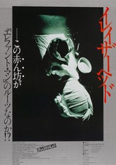 イレイザーヘッド