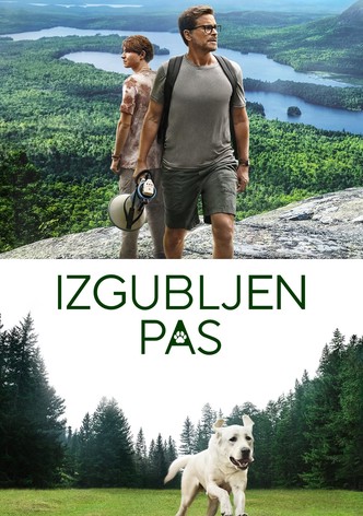 Izgubljen pas