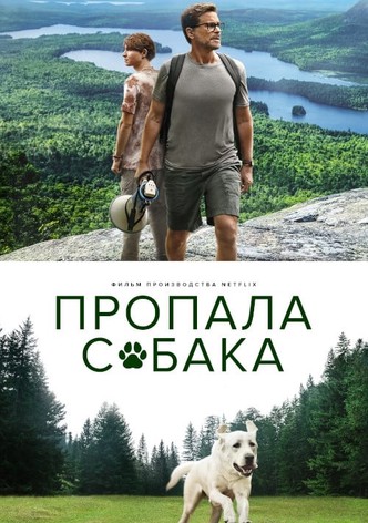 Пропала собака