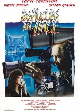 Las huellas del lince