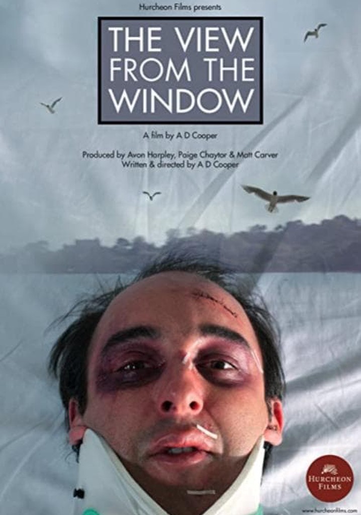 The View From The Window