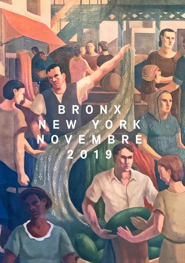 Bronx, New York, November 2019