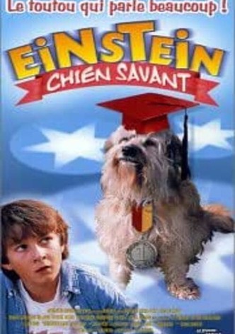 Einstein chien savant