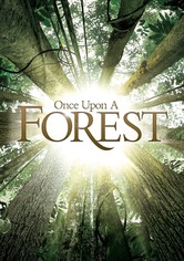 Once Upon a Forest