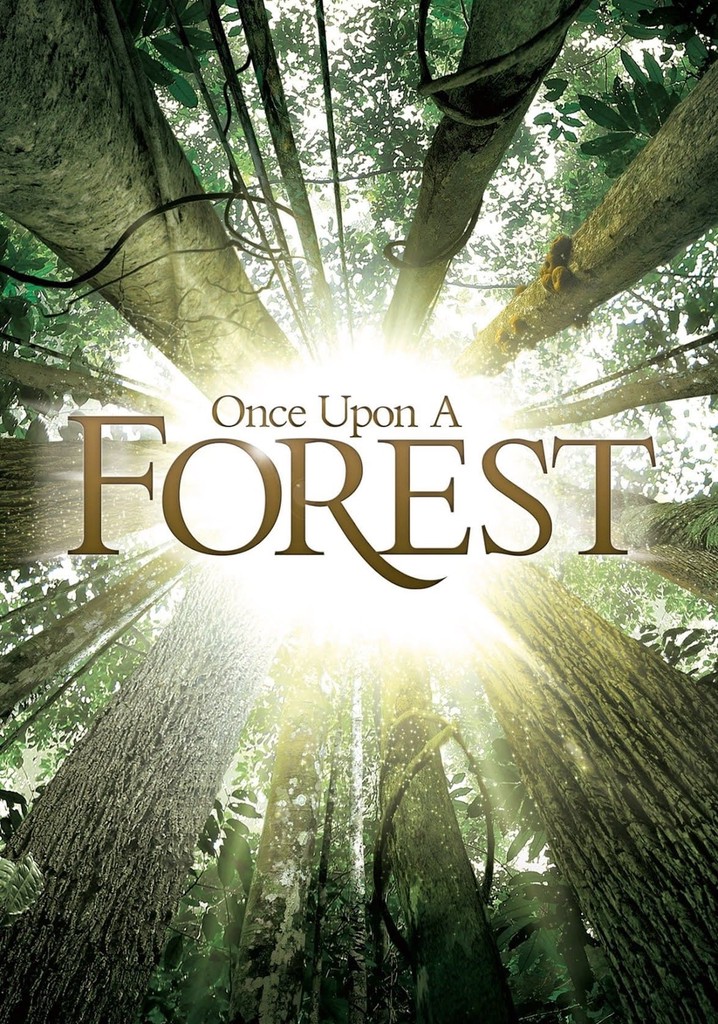 Once Upon a Forest