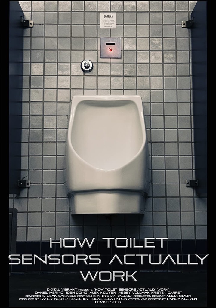 How Toilet Sensors Actually Work