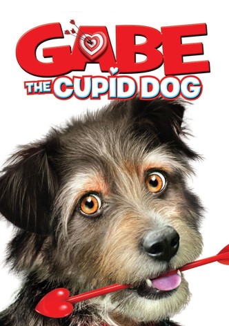 Gabe the Cupid Dog