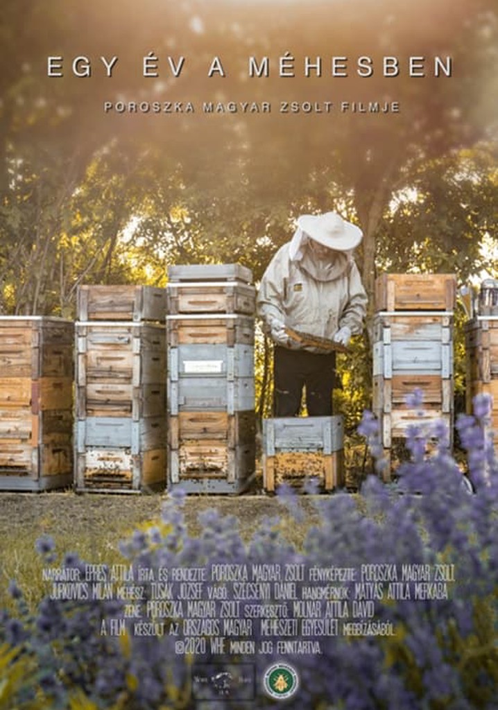 Egy év a méhesben
