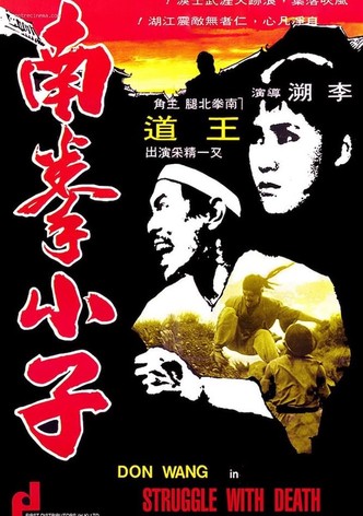 南拳小子
