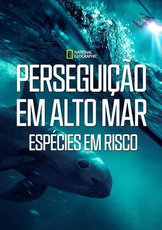 Perseguição em Alto Mar: Espécies em Risco