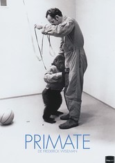 Primate