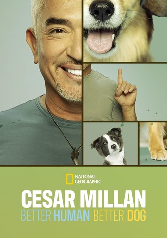 Cesar Millan: Better Human Better Dog - Bessere Menschen, bessere Hunde