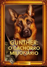 A Riqueza de Gunther