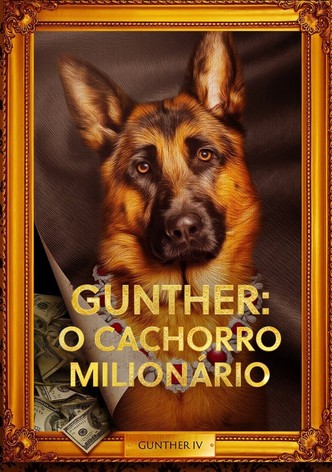 A Riqueza de Gunther