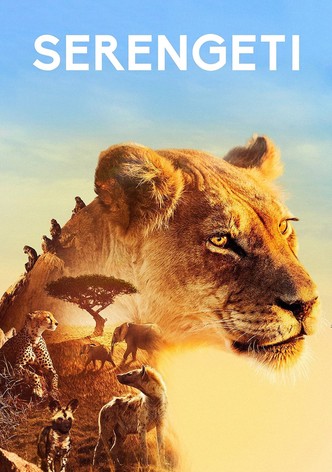 The lion king online 2019 full movie 1234movies