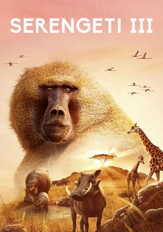 Serengeti, Series 3