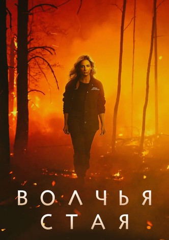 Волчья стая