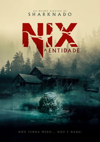 Nix: A Entidade