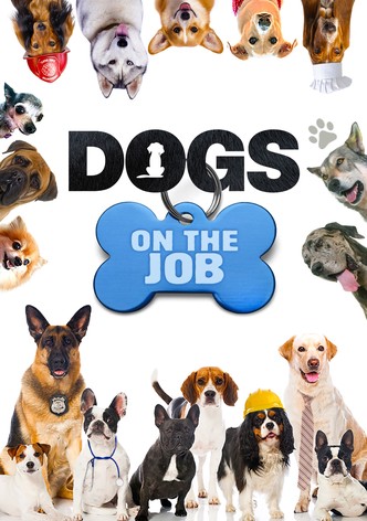 Dogs On the Job - Season 1