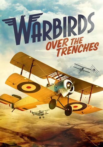 Warbirds Over the Trenches