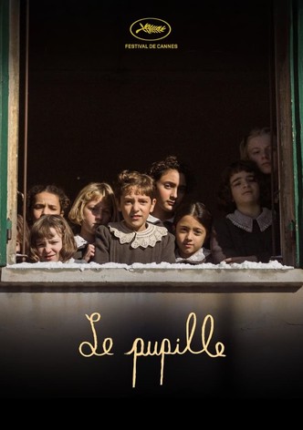 Le Pupille