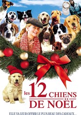 Les 12 chiens de Noël
