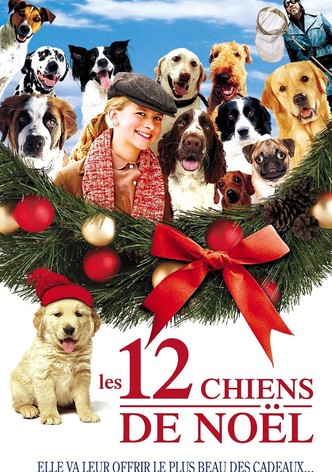 Les 12 chiens de noël