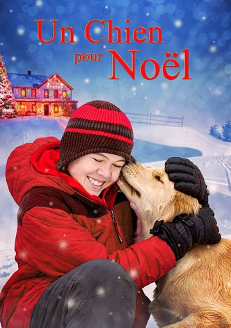 Un chien pour Noël
