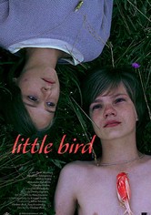 Little Bird
