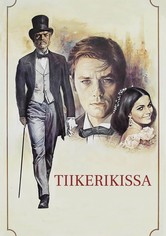 Tiikerikissa